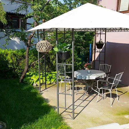 Cvetkovic Relax * ניסקה בנז'ה