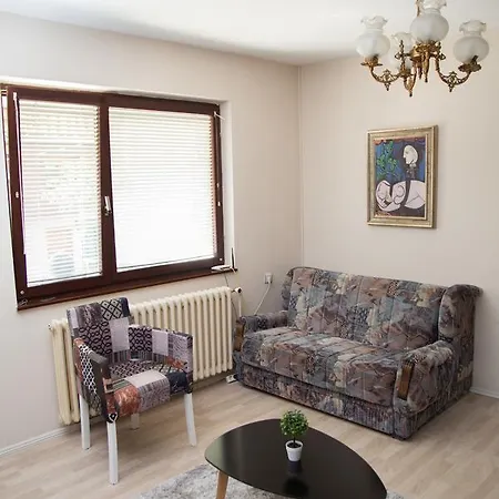 Cvetkovic Relax Lejlighed Niska Banja